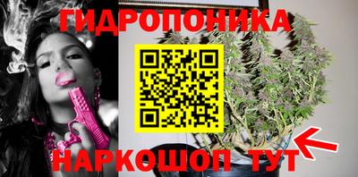 молекула духа Аша