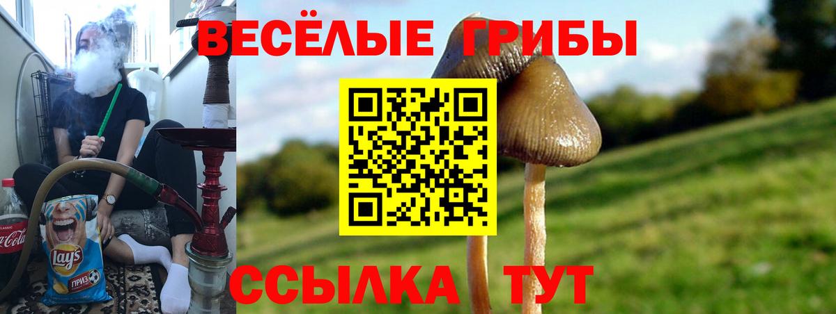 Белгород  Галлюциногенные грибы MAGIC MUSHROOMS  Вход с VPN  Псилоцибиновые грибы Psilocybine cubensis 